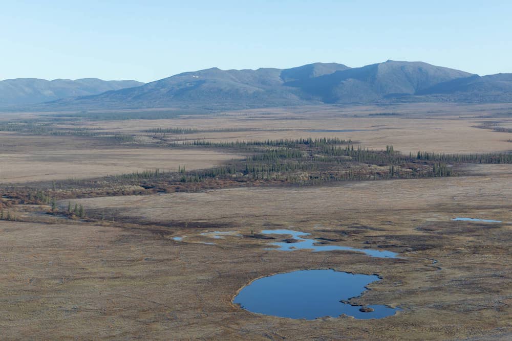 A recent transfer by the Department of Interior has conveyed 28,000 acres’ worth of land parcels near the Ambler Road corridor to NANA Regional Corporation, Inc. (Photo: NANA Regional Corporation.)