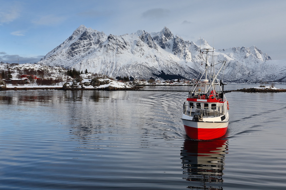 The acquisition of Normarine builds on a series of seafood sector deals by Sealaska over the past two-plus years. (Photo: Adobe)