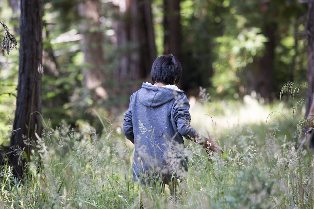 California tribe taps seldom-used USDA program to acquire ancestral forest land 